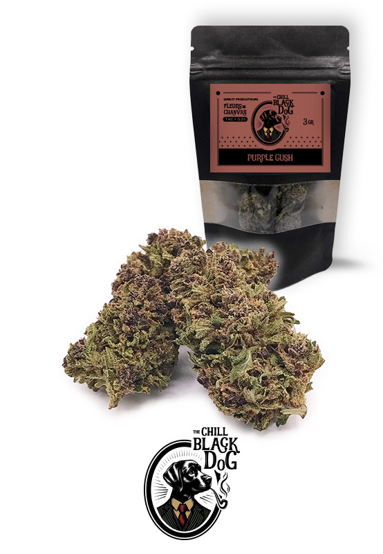 CBD-PurpleGush-TheChillBlackDog