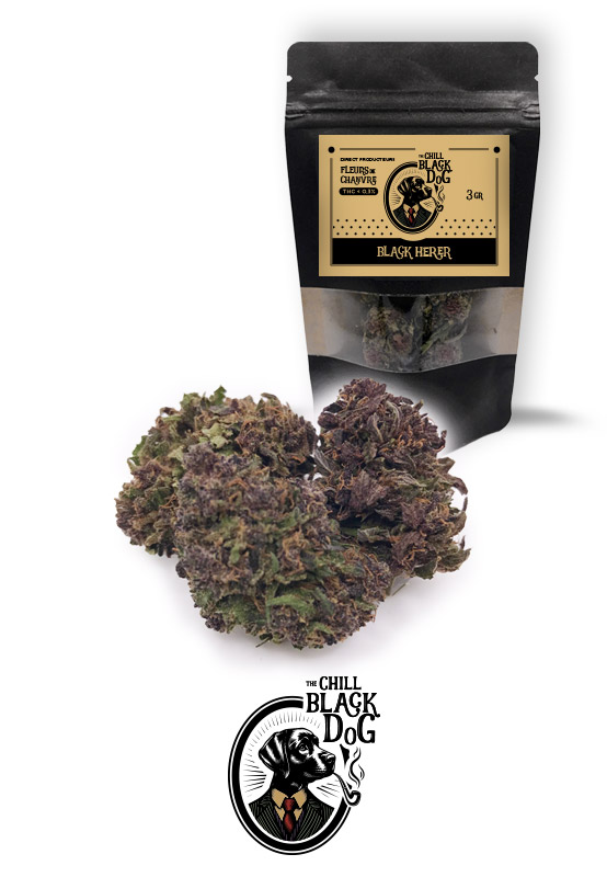Fleurs-BlackHerer-TheChillBlackDog