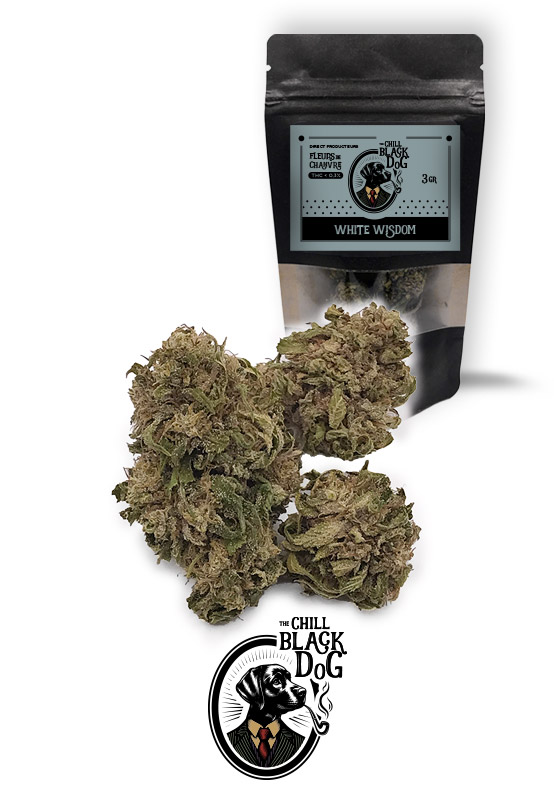 Fleurs-WhiteWisdom-TheChillBlackDog